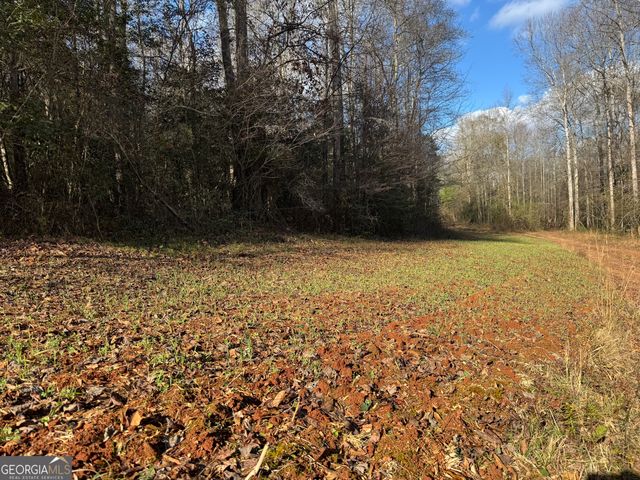 1190 James Adams Road, Danielsville, GA 30633