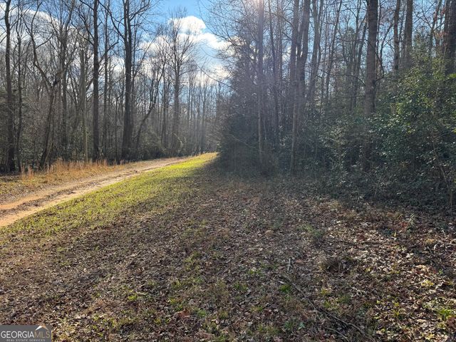 1190 James Adams Road, Danielsville, GA 30633