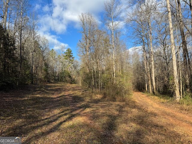 1190 James Adams Road, Danielsville, GA 30633