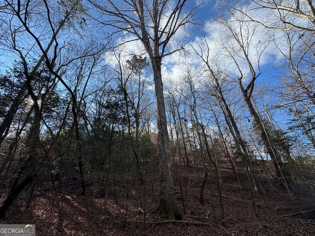 1190 James Adams Road, Danielsville, GA 30633