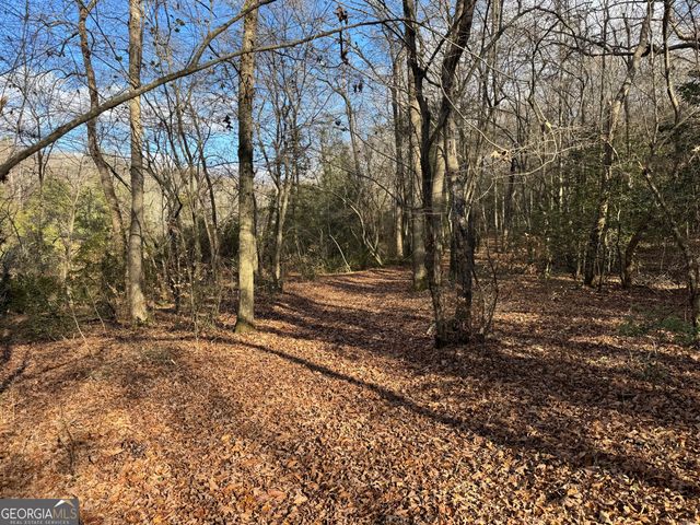 1190 James Adams Road, Danielsville, GA 30633