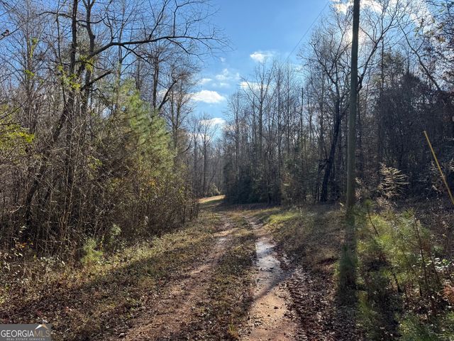 1190 James Adams Road, Danielsville, GA 30633