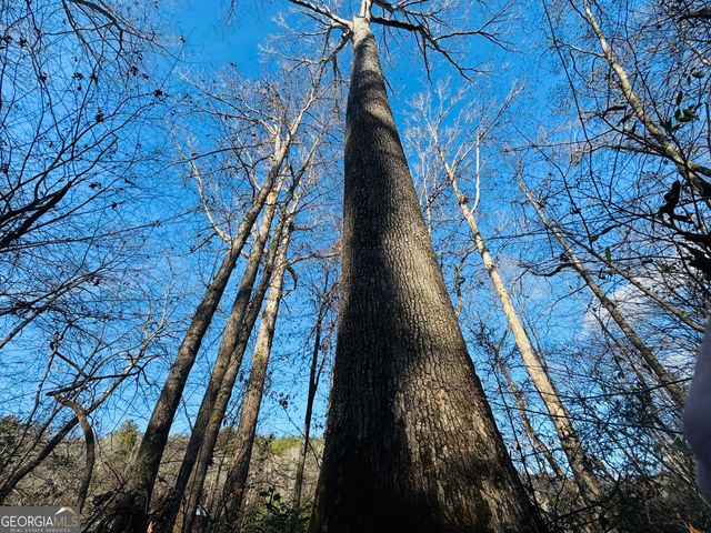 1190 James Adams Road, Danielsville, GA 30633