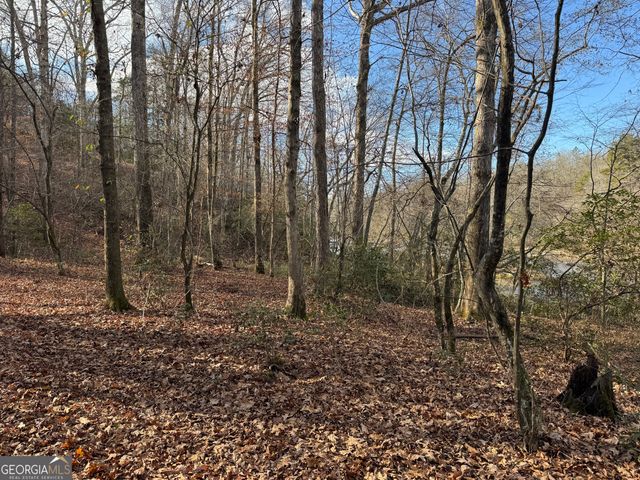 1190 James Adams Road, Danielsville, GA 30633