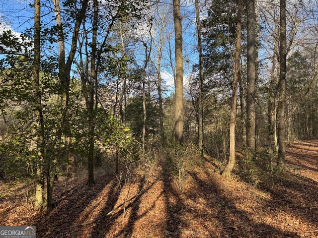 1190 James Adams Road, Danielsville, GA 30633