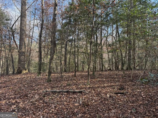 1190 James Adams Road, Danielsville, GA 30633