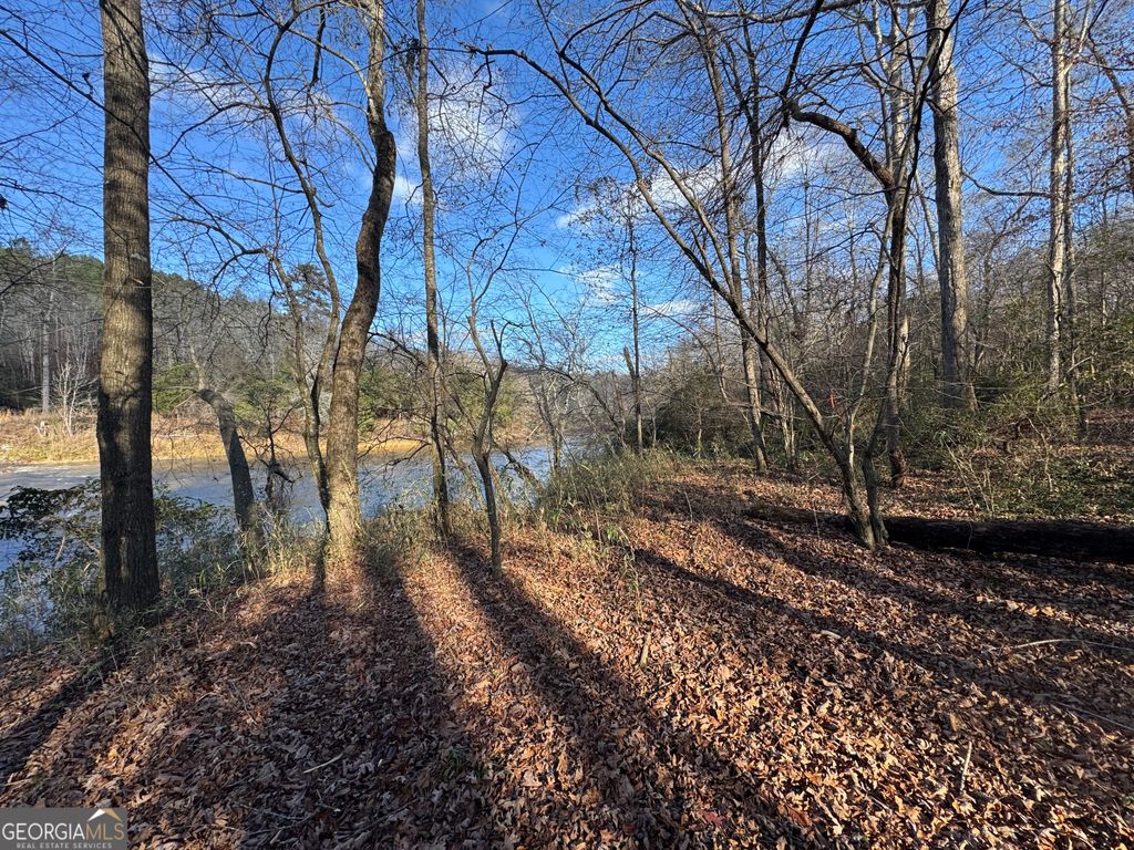 1190 James Adams Road, Danielsville, GA 30633 — photo 4