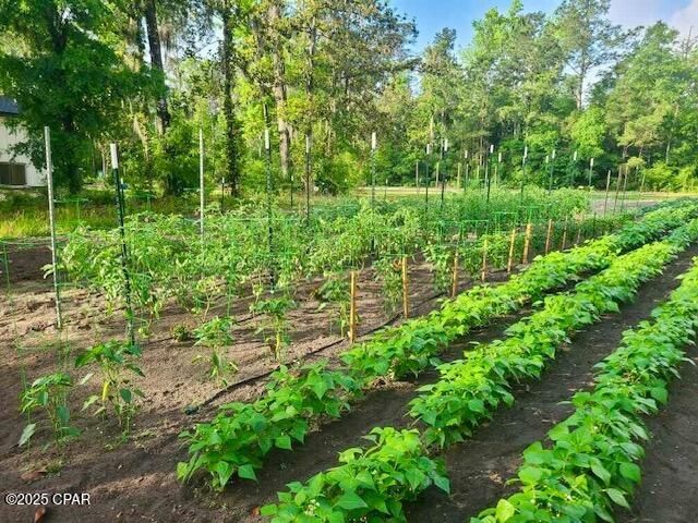 3130 Magnolia Drive, Chipley, FL 32428