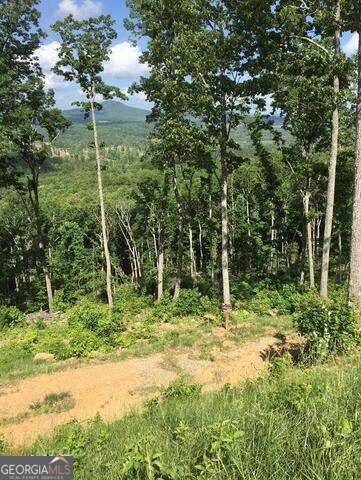 0 Ridge Pointe Way 369, Blairsville, GA 30512