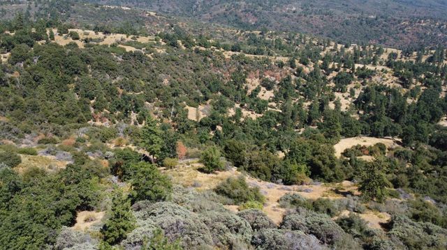 52925 Hogback Road, Miramonte, CA 93641