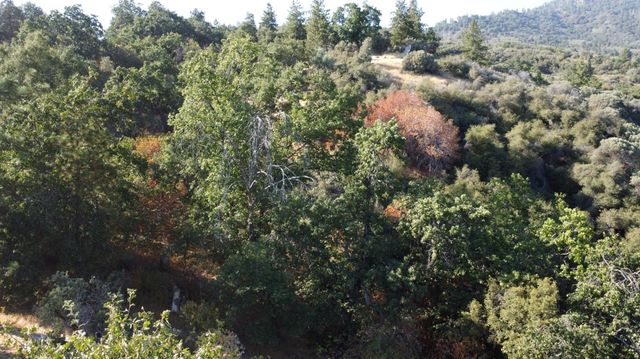 52925 Hogback Road, Miramonte, CA 93641