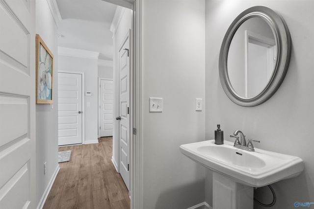 19963 Wicklow Circle, Athens, AL 35613