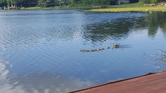 703 MEREDITH STREET, Fern Park, FL 32730