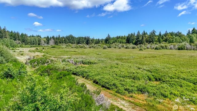 313 184th Avenue Ct SW, Lakebay, WA 98349