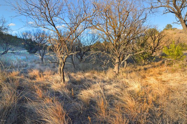 Lot 9 TangleHead Lane, Patagonia, AZ 85624