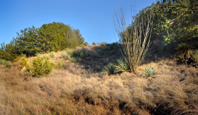 Lot 9 TangleHead Lane, Patagonia, AZ 85624