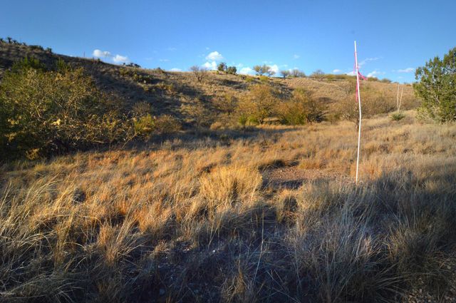 Lot 9 TangleHead Lane, Patagonia, AZ 85624