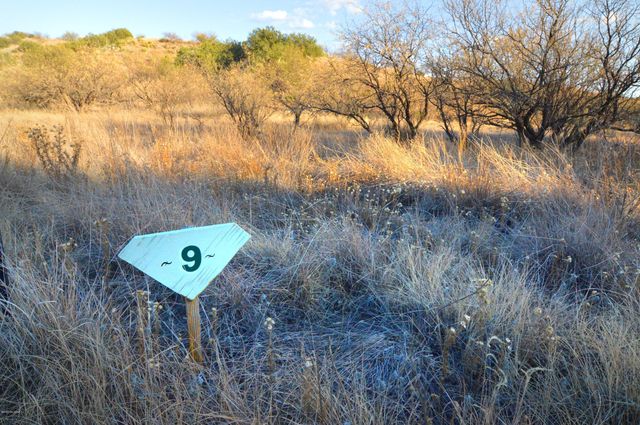 Lot 9 TangleHead Lane, Patagonia, AZ 85624
