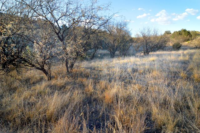 Lot 9 TangleHead Lane, Patagonia, AZ 85624