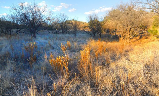 Lot 9 TangleHead Lane, Patagonia, AZ 85624