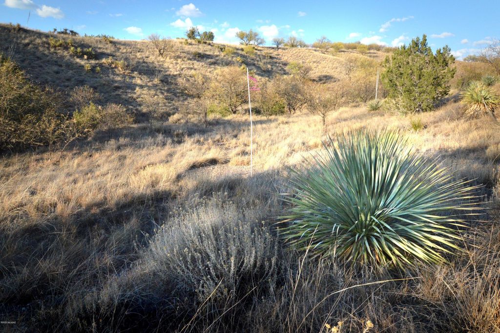 Lot 9 TangleHead Lane, Patagonia, AZ 85624