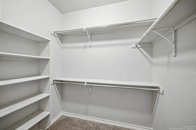 9502 Bricewood Tree, San Antonio, TX 78254