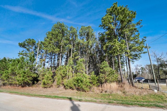 1319 County Road 3479j, Cleveland, TX 77327