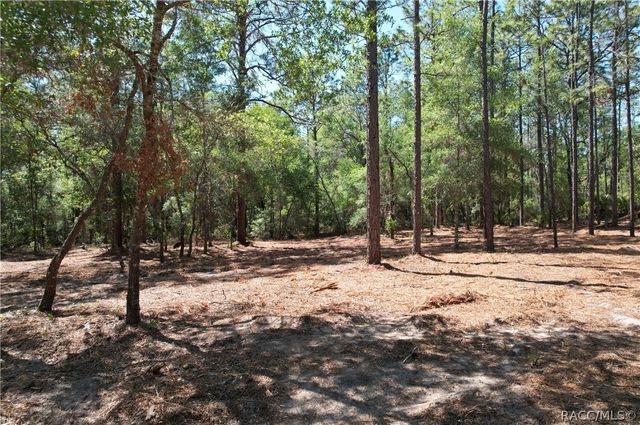 6925 W Copenhagen Street, Dunnellon, FL 34433