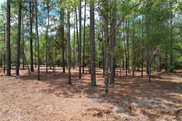 6925 W Copenhagen Street, Dunnellon, FL 34433