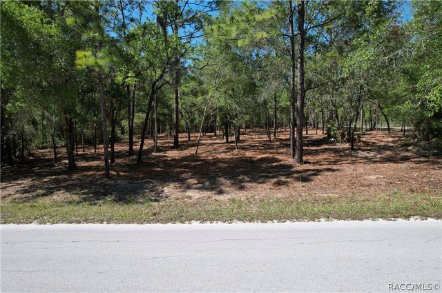 6925 W Copenhagen Street, Dunnellon, FL 34433