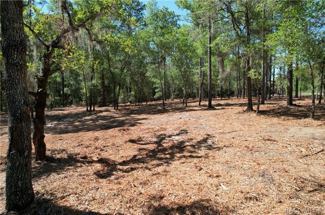 6925 W Copenhagen Street, Dunnellon, FL 34433