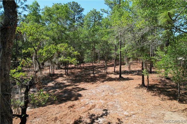 6925 W Copenhagen Street, Dunnellon, FL 34433