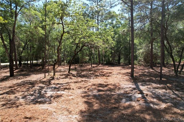 6925 W Copenhagen Street, Dunnellon, FL 34433