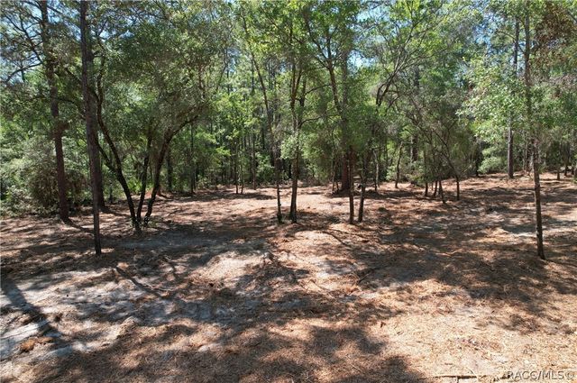 6925 W Copenhagen Street, Dunnellon, FL 34433