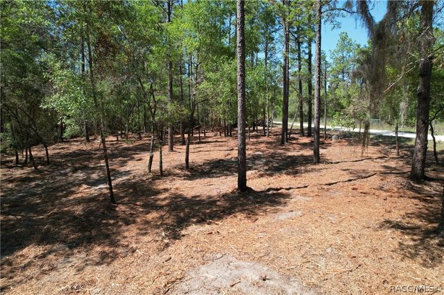 6925 W Copenhagen Street, Dunnellon, FL 34433