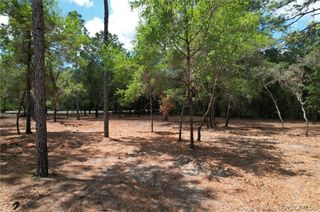 6925 W Copenhagen Street, Dunnellon, FL 34433