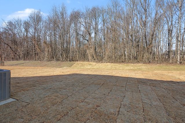 1141 Southerlynn Dr, White House, TN 37188