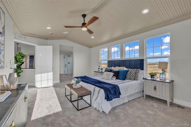 858 Dutton Court, Castle Rock, CO 80104