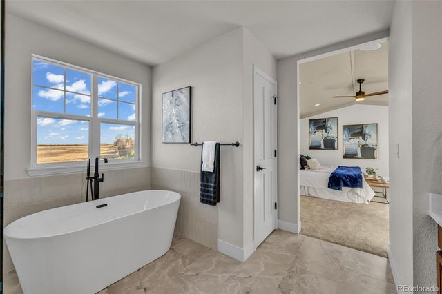 858 Dutton Court, Castle Rock, CO 80104