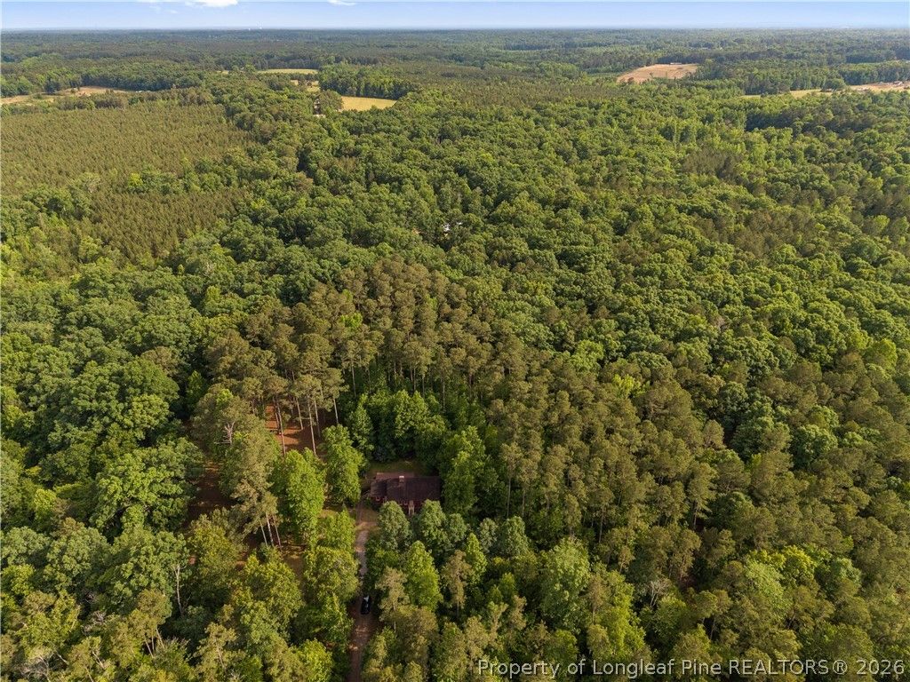 353 Covered Bridge Lane, Sanford, NC 27330 — photo 38