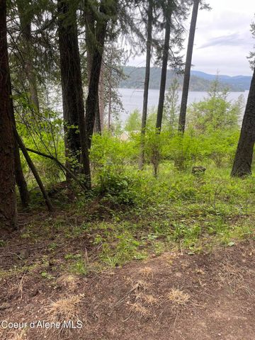 233 E Driftwood Heights DR, Harrison, ID 83833