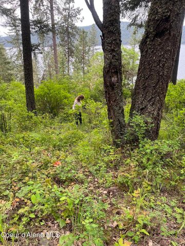 233 E Driftwood Heights DR, Harrison, ID 83833