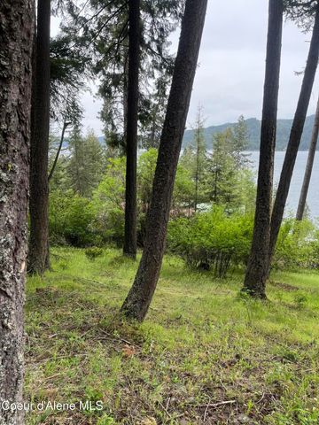 233 E Driftwood Heights DR, Harrison, ID 83833