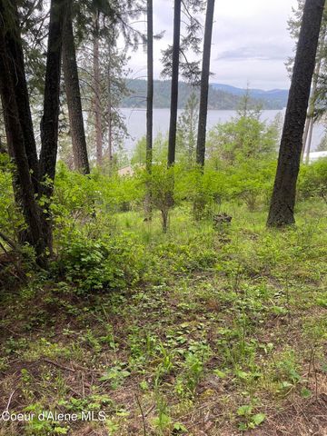 233 E Driftwood Heights DR, Harrison, ID 83833