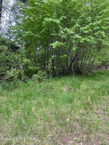 233 E Driftwood Heights DR, Harrison, ID 83833
