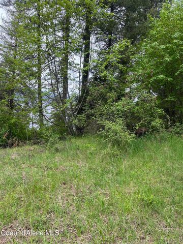 233 E Driftwood Heights DR, Harrison, ID 83833