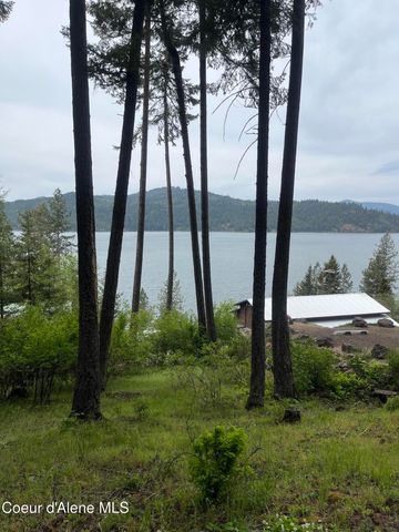 233 E Driftwood Heights DR, Harrison, ID 83833