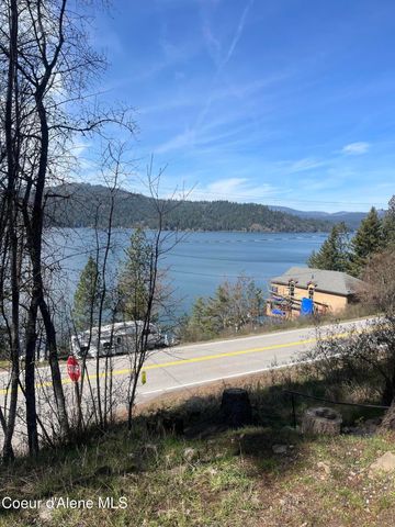 233 E Driftwood Heights DR, Harrison, ID 83833