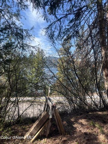 233 E Driftwood Heights DR, Harrison, ID 83833