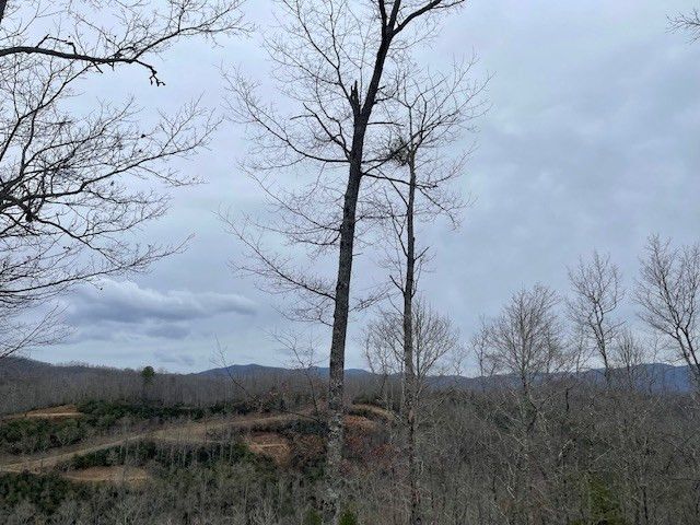 41 Mystic Ridge Way W, Topton, NC 28781